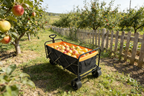 Large Capacity Folding Outdoor Wagon Cart with Extender - Black & Orange