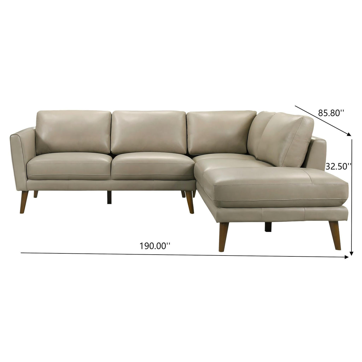 Benson Sectional Sofa With Chaise - Multiple Colors