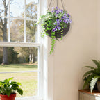 Self Watering Hanging Planter with Water Level Indicator - White, Black, or Dark Brown