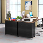 2 Drawer Lateral File Cabinet with Heavy Duty Steel Frame - Brown/Black