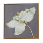 Botanical Wall Art Prints with Premium Frames - Gray (Set of 4)