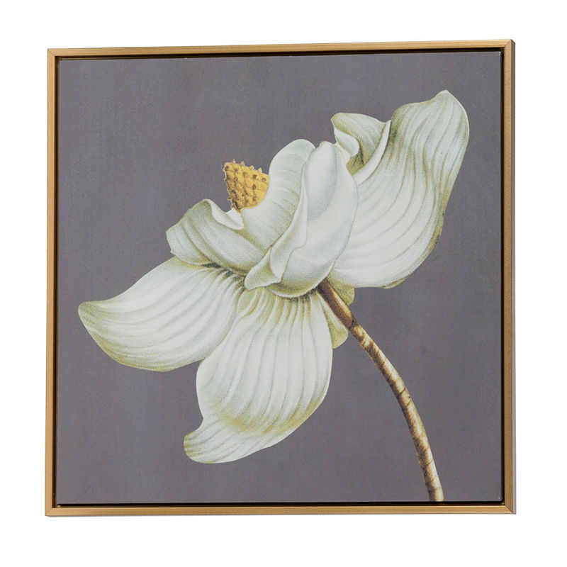 Botanical Wall Art Prints with Premium Frames - Gray (Set of 4)