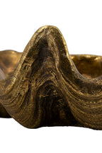 19.7x10.6x5.5" Decorative Shell Bowl