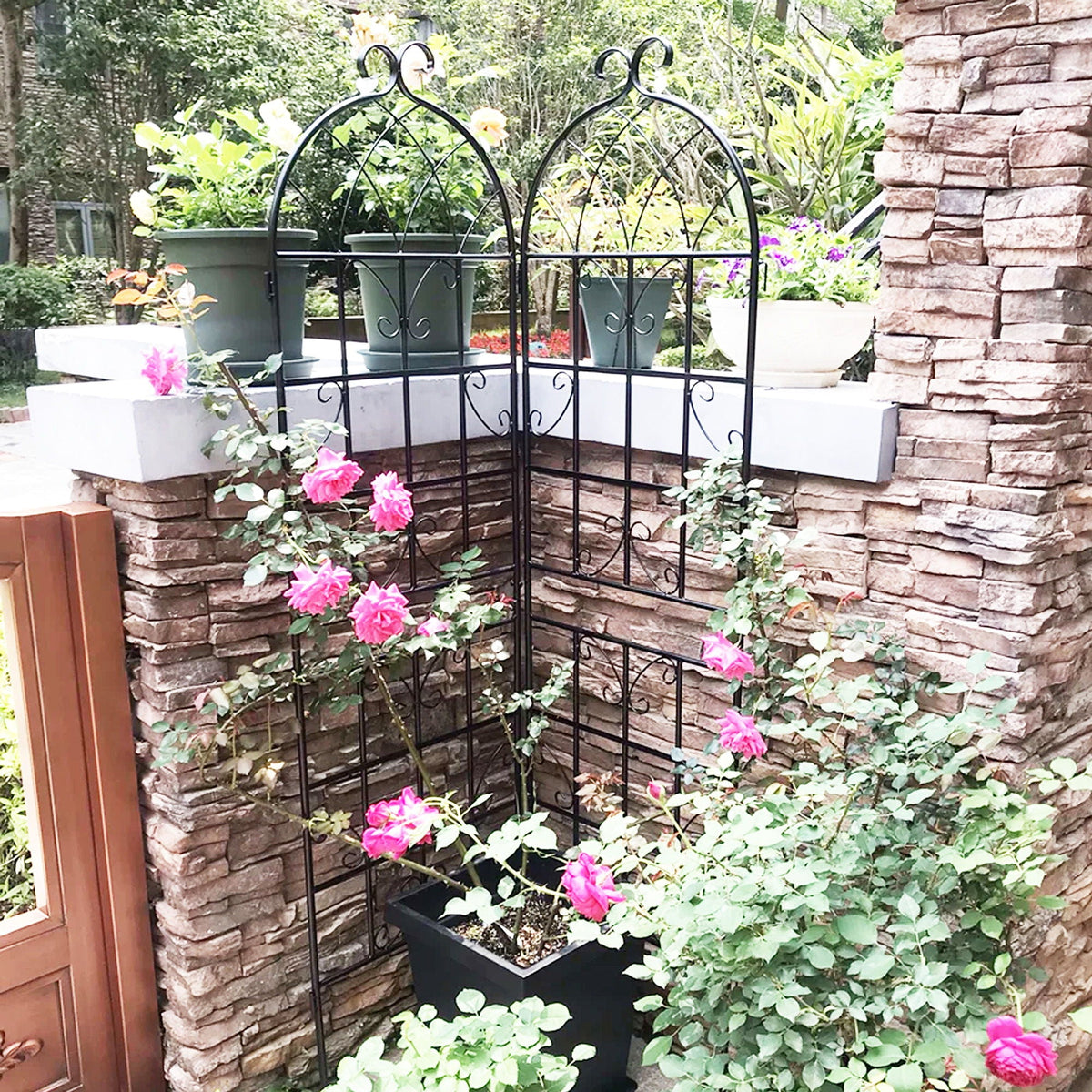 Metal Garden Rustproof Trellis for Climbing Plants – Outdoor Flower Support