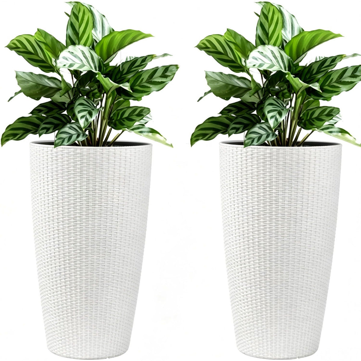 Tall Planters Set with Auto Watering and Water Level Monitor - Polypropylene