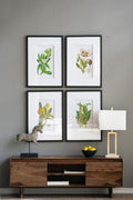 Botanical Flower Wall Art Set of 4 with Framed Prints - White / Blue