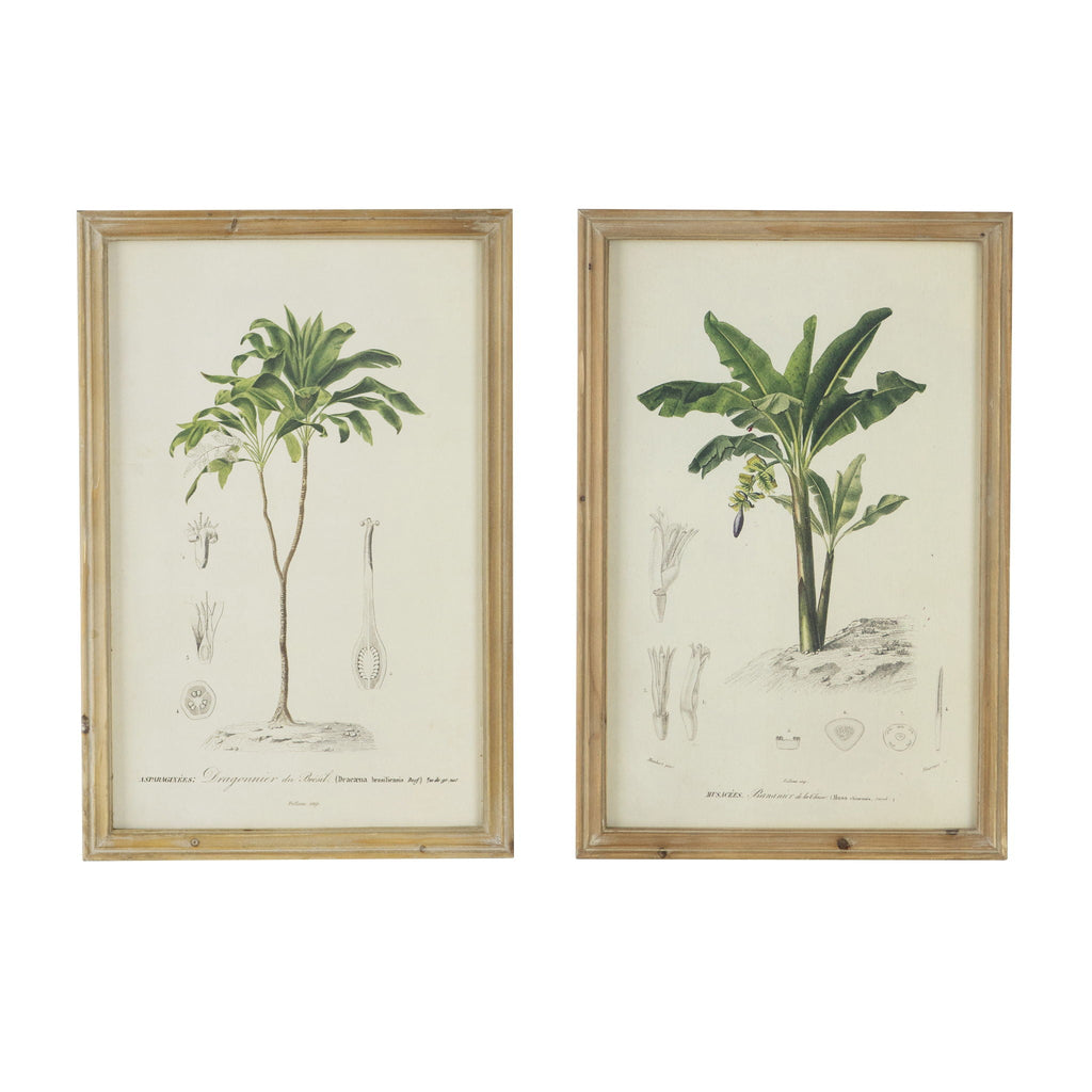 Tree Framed Print Set with Fir Wood Frames - Multicolor