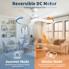 Reversible Motor Integrated LED Dimmable Ceiling Fan With Light