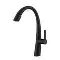 Stainless Steel Pull Out Kitchen Faucet with High Arch Spout - Black or Gold