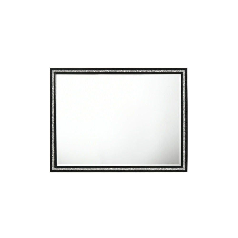 Haiden Weathered Mirror with Beveled Glass - Black
