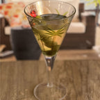 V Shaped Unbreakable Plastic Wine Glasses with 14Oz Capacity - Clear (Set of 4)