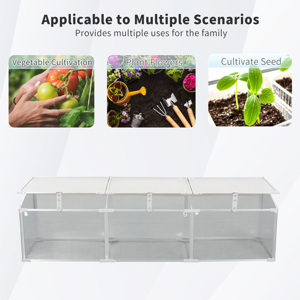 Polycarbonate Greenhouse with Durable Aluminum Frame - Silver