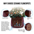 Bean Paste Red 4-Piece Ceramic Planter Pot Set with Drainage Hole - Indoor Outdoor