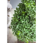 Artificial Spiral Boxwood Tree with Spiral Design - Green Leaves