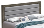 Transitional Modern Panel Bed with Wood Construction - Multiple Colors