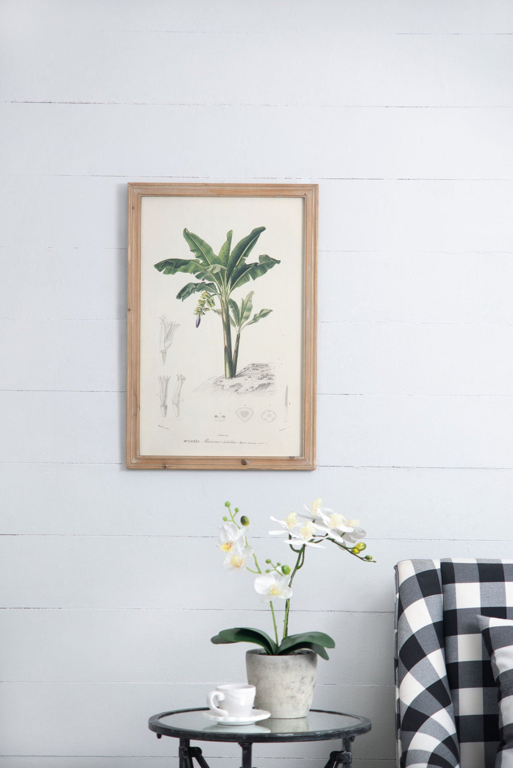 Tree Framed Print Set with Fir Wood Frames - Multicolor