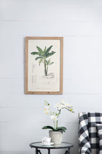Tree Framed Print Set with Fir Wood Frames - Multicolor