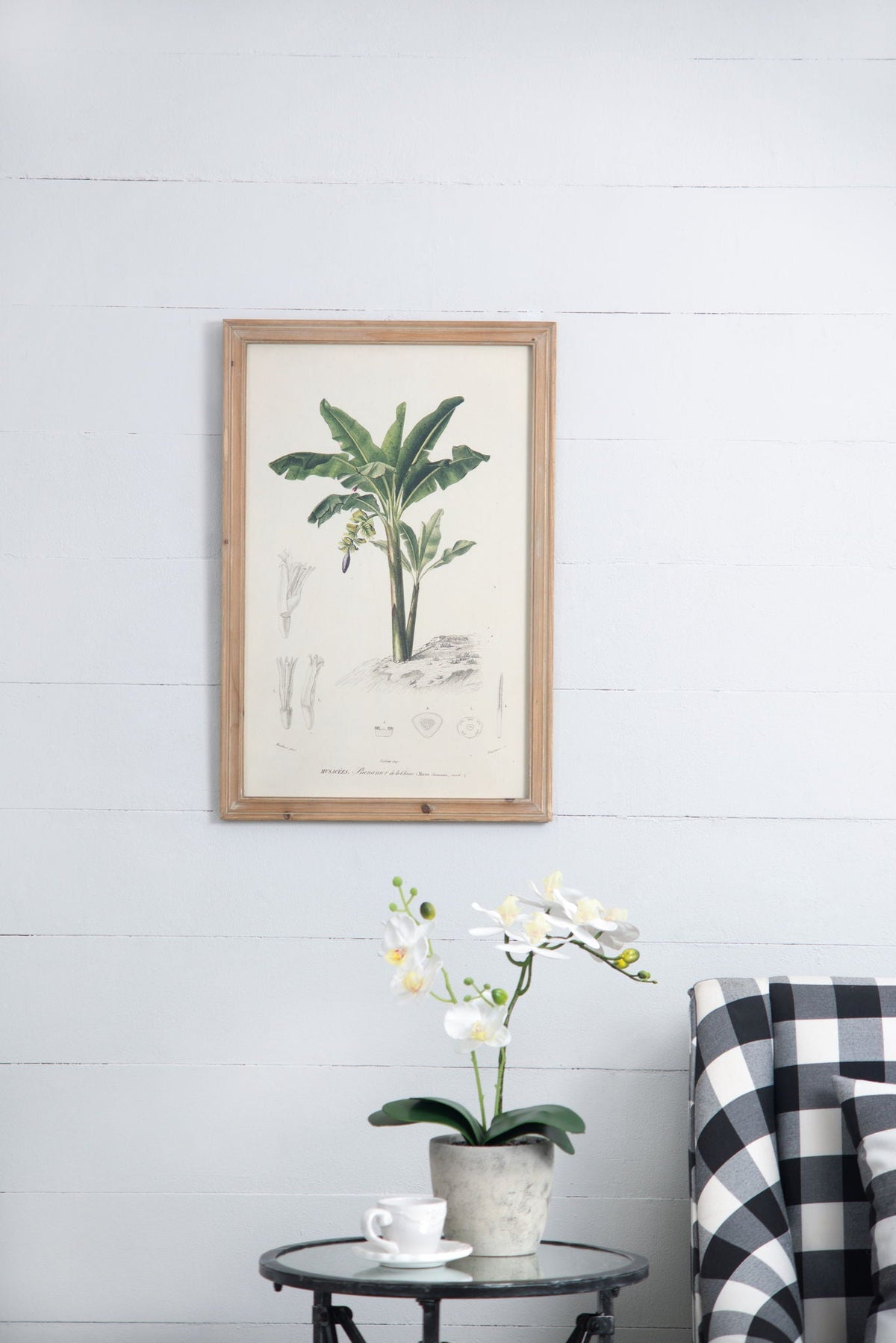 Tree Framed Print Set with Fir Wood Frames - Multicolor