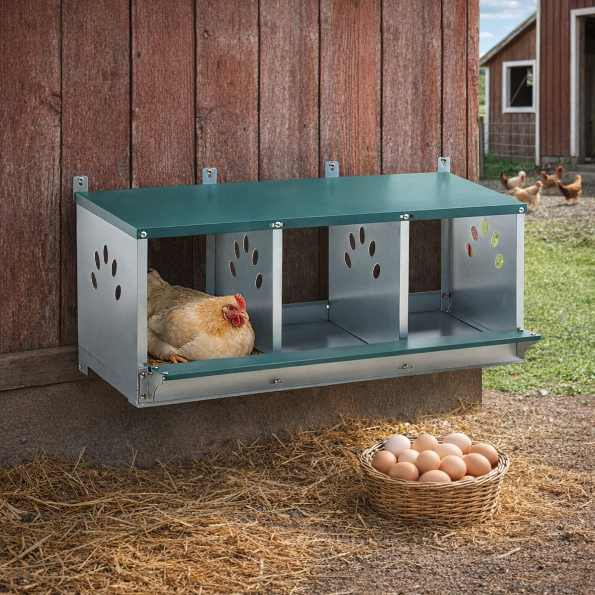 Galvanized Steel Metal Nesting Boxes for Chicken with Three Compartments