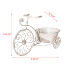 Rustic Bicycle Metal Wire Wall Planter Basket with Vintage Design - Grey and White