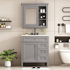 Gray Bathroom Vanity with Ceramic Sink, Storage Cabinet & Mirror