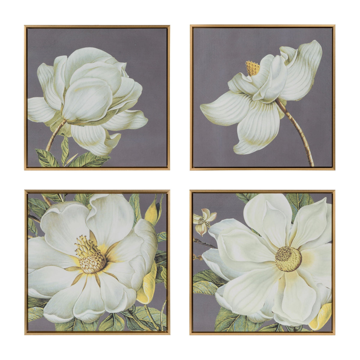 Botanical Wall Art Prints with Premium Frames - Gray (Set of 4)