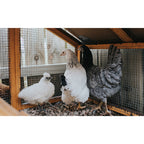 Galvanized Hardware Cloth Fence Roll with 1/2 Inch Mesh - Silver
