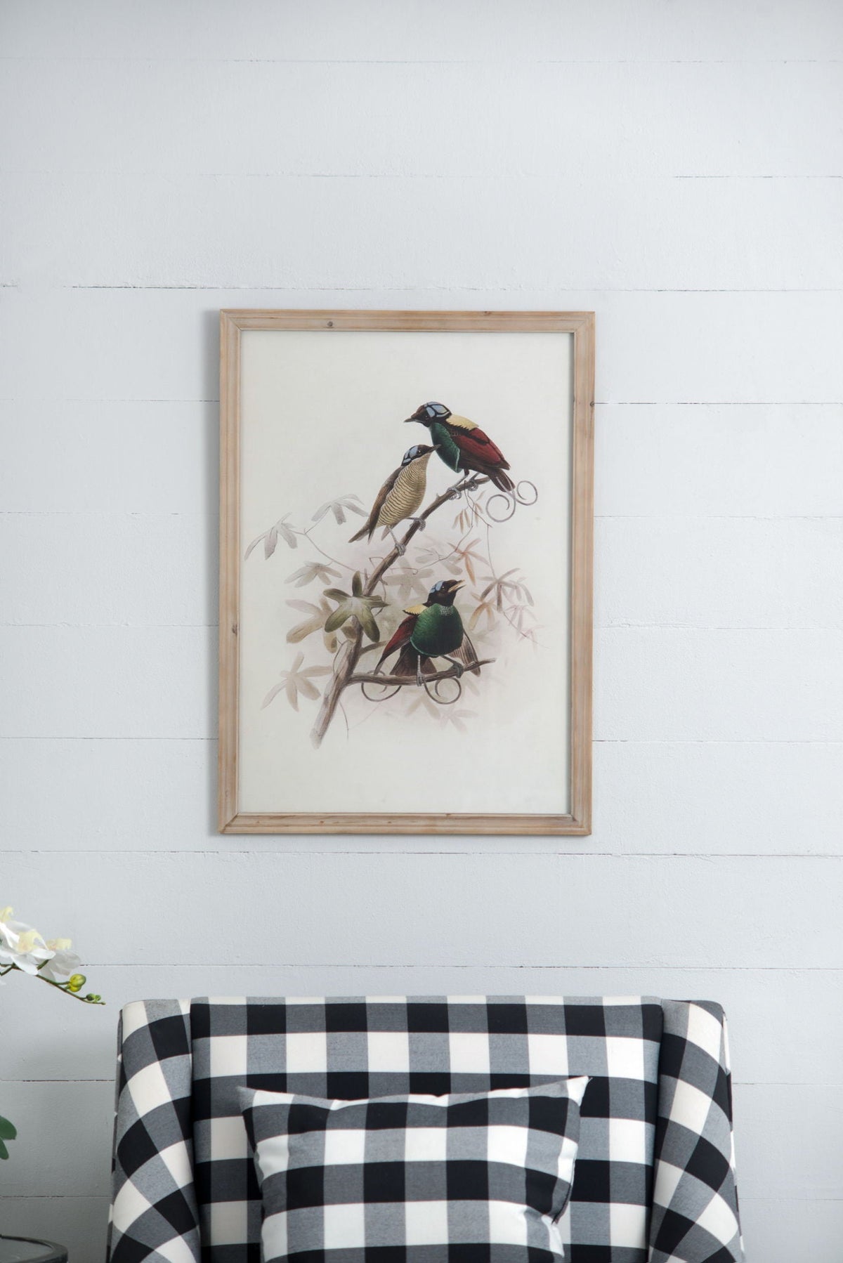 Bird Framed Print Set with Light Wood Frame - Multicolor