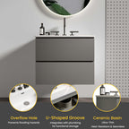 Space Grey 24-Inch Wall Mount Bathroom Vanity with Extra Storage
