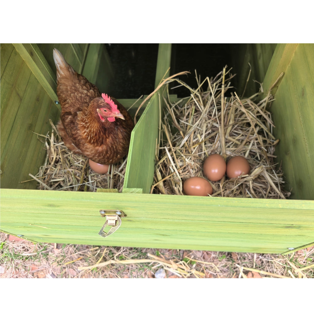 70" Automatic Chicken Coop with Solar-Powered Door - Green