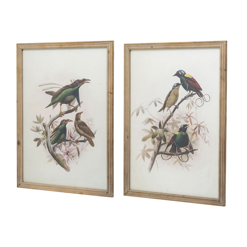 Bird Framed Print Set with Light Wood Frame - Multicolor