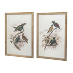 Bird Framed Print Set with Light Wood Frame - Multicolor