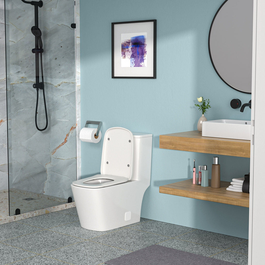 1 Piece Toilet with Single Flush and Soft Closing Seat - White