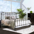 Transitional Style Metal Panel Bed with Hand-Brushed Accents - Black