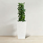 Indoor Outdoor Planter with Automatic Watering System - Dark Brown, Black, or White