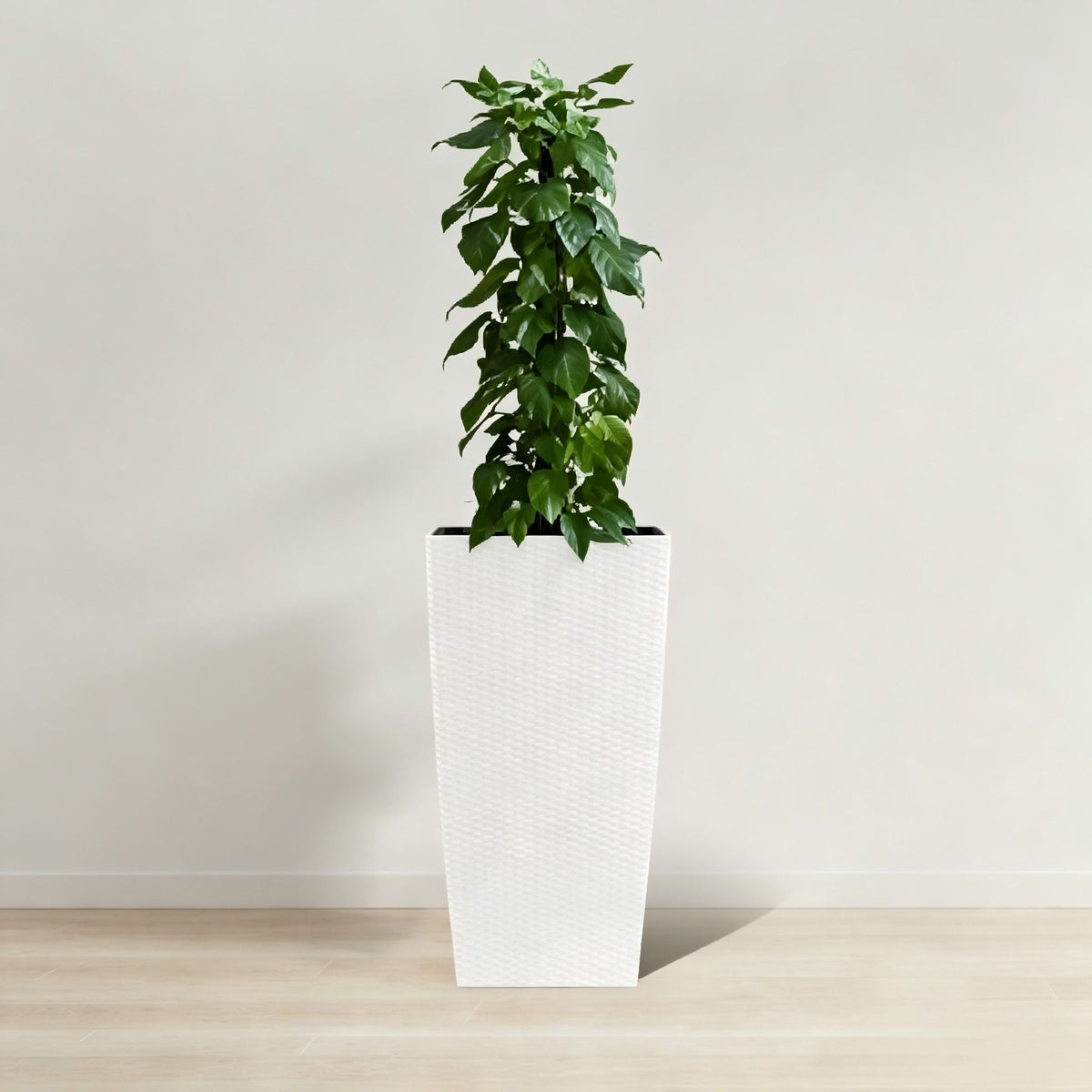 Indoor Outdoor Planter with Automatic Watering System - Dark Brown, Black, or White