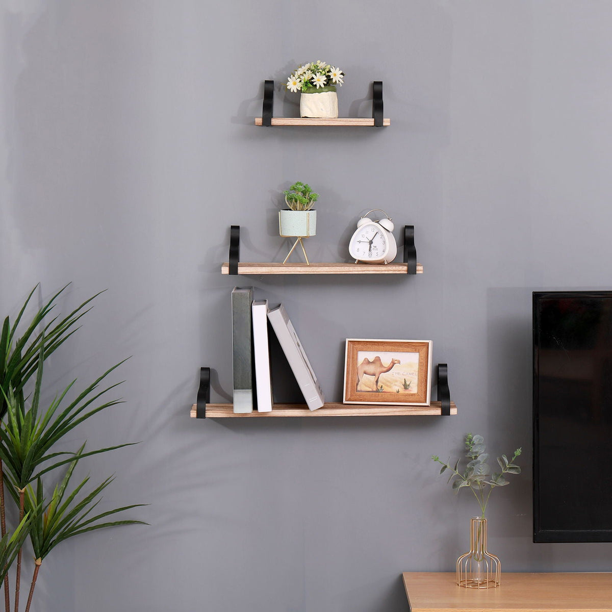 Floating Shelves, Long Wall Shelves (Set of 3)