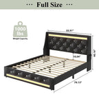 Wingback Upholstered Bed Frame with LED Lights and Charging Station - Black or White