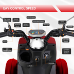 Electric Mobility Scooter with High Power - Large Size