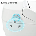 Smart Toilet with Built-in Heated Seat