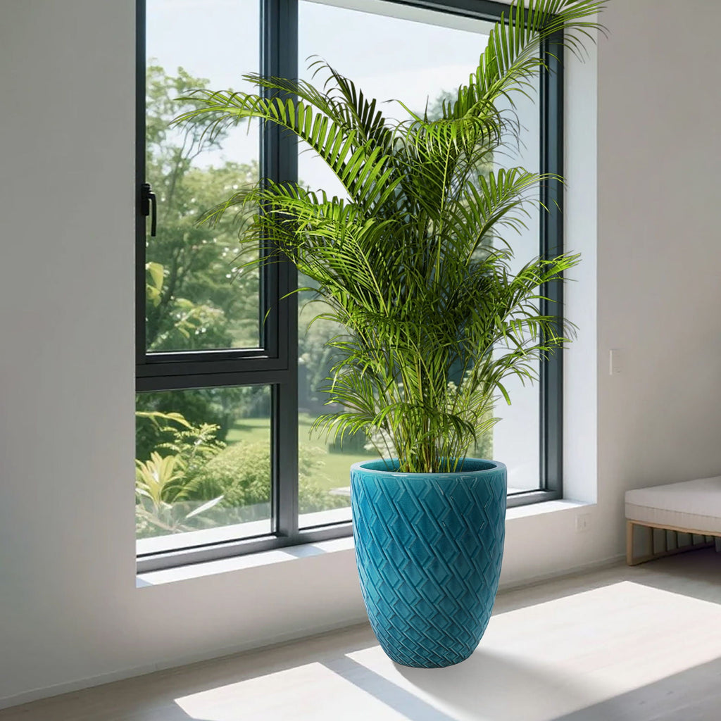 Ceramic Planter with Drainage Hole - White or Light Blue