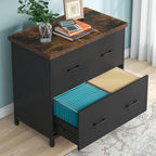 2 Drawer Lateral File Cabinet with Heavy Duty Steel Frame - Brown/Black