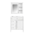 Bathroom Vanity with Medicine Cabinet and Storage - Multiple Colors