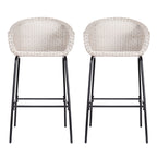 Ladd Outdoor Metal Wicker Barstool Set of 2