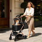 2-in-1 Foldable Pet Stroller with Detachable Carrier and Sun Canopy - Gray