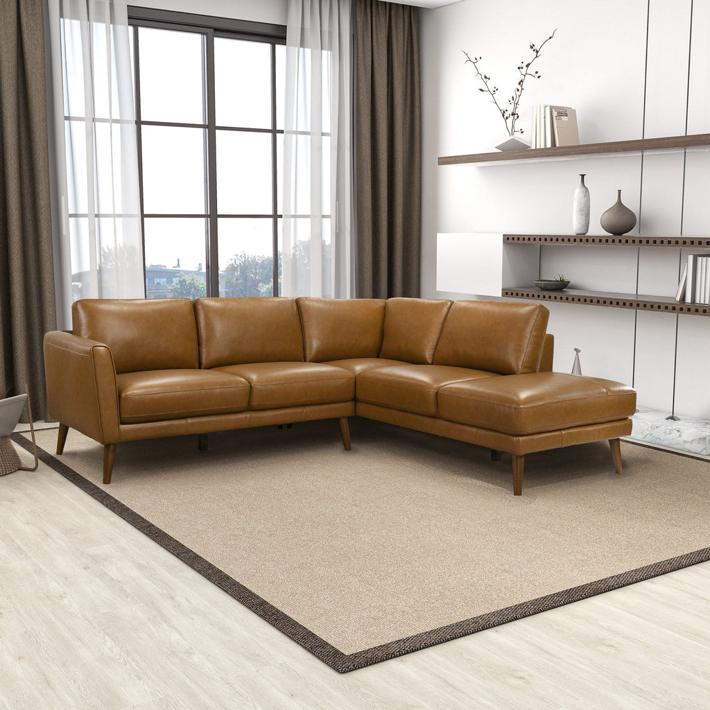 Benson Sectional Sofa With Chaise - Multiple Colors