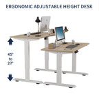 55"×24" Light Electric Standing Desk