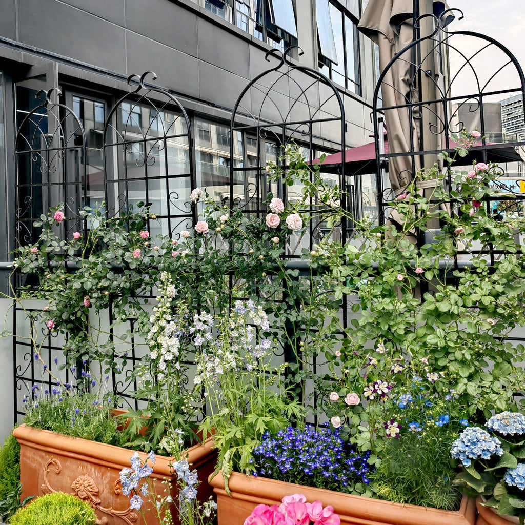 Metal Garden Rustproof Trellis for Climbing Plants – Outdoor Flower Support
