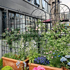 Metal Garden Rustproof Trellis for Climbing Plants – Outdoor Flower Support
