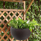 Self Watering Hanging Planter with Water Level Indicator - White, Black, or Dark Brown